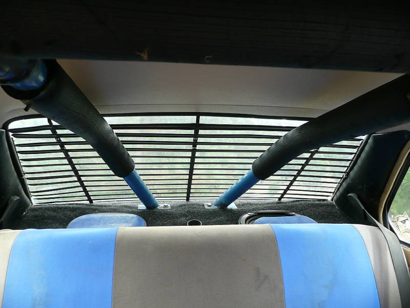 roll cage.jpg