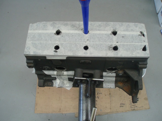 P1010003 (2).JPG