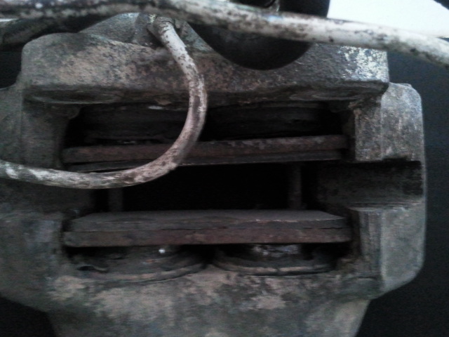 2011-01-20 13.26.47.jpg
