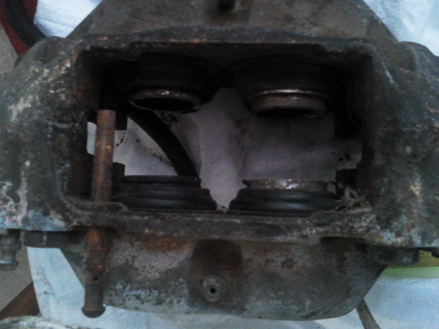 2011-01-20 13.27.10.jpg