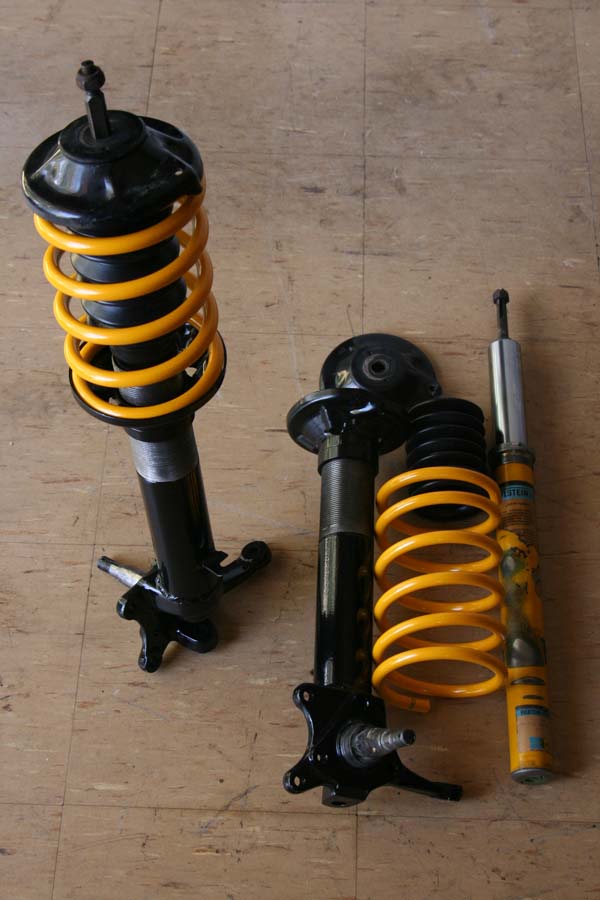 Struts small.jpg