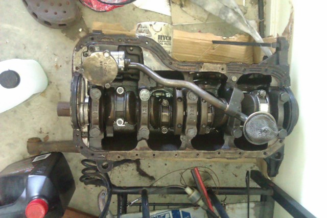 IMAG0028.jpg